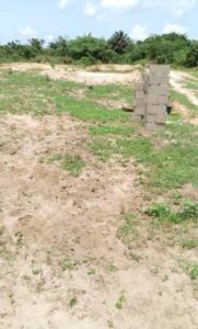 06797bd38e8b01 a plot of land residential land for sale trans ekulu enugu enugu
