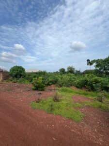 0684a5b8362016 harmony big land residential land for sale enugu enugu